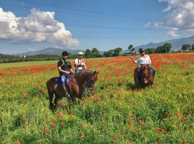 Paseo a caballo + clase de equitación