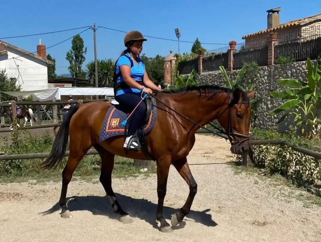 Ruta a caballo + clase de equitación