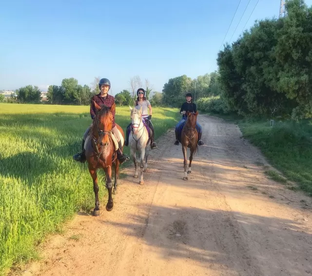 Paseo a caballo río Tenes