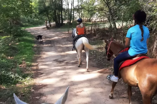Excursión Río Tenes 2h + clase + comida