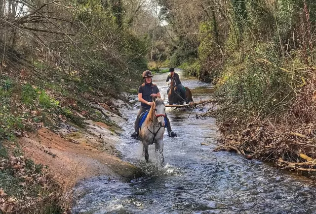 Ruta a caballo + clase equitación