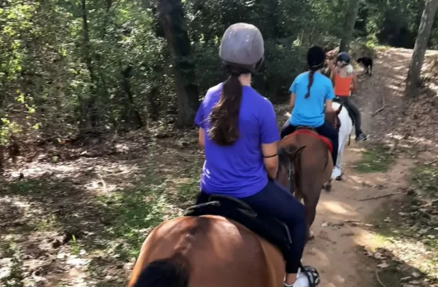 Excursión 4h + clase + comida